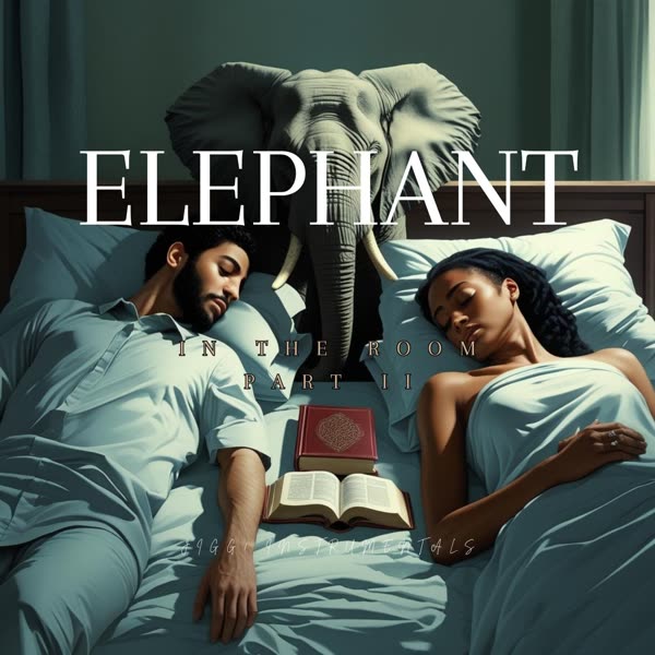 Elephant In The Room Part 2 cover art